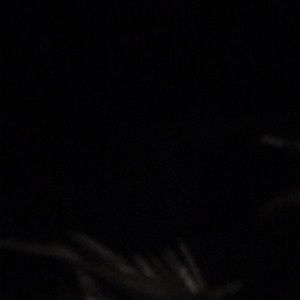 Meet your Posher, Hailey